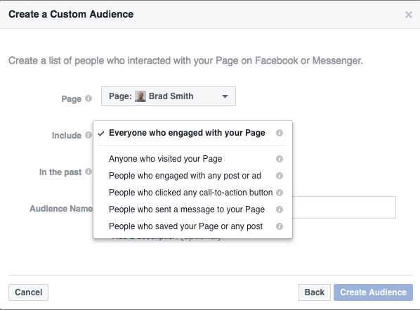 Facebook custom audience ad setting