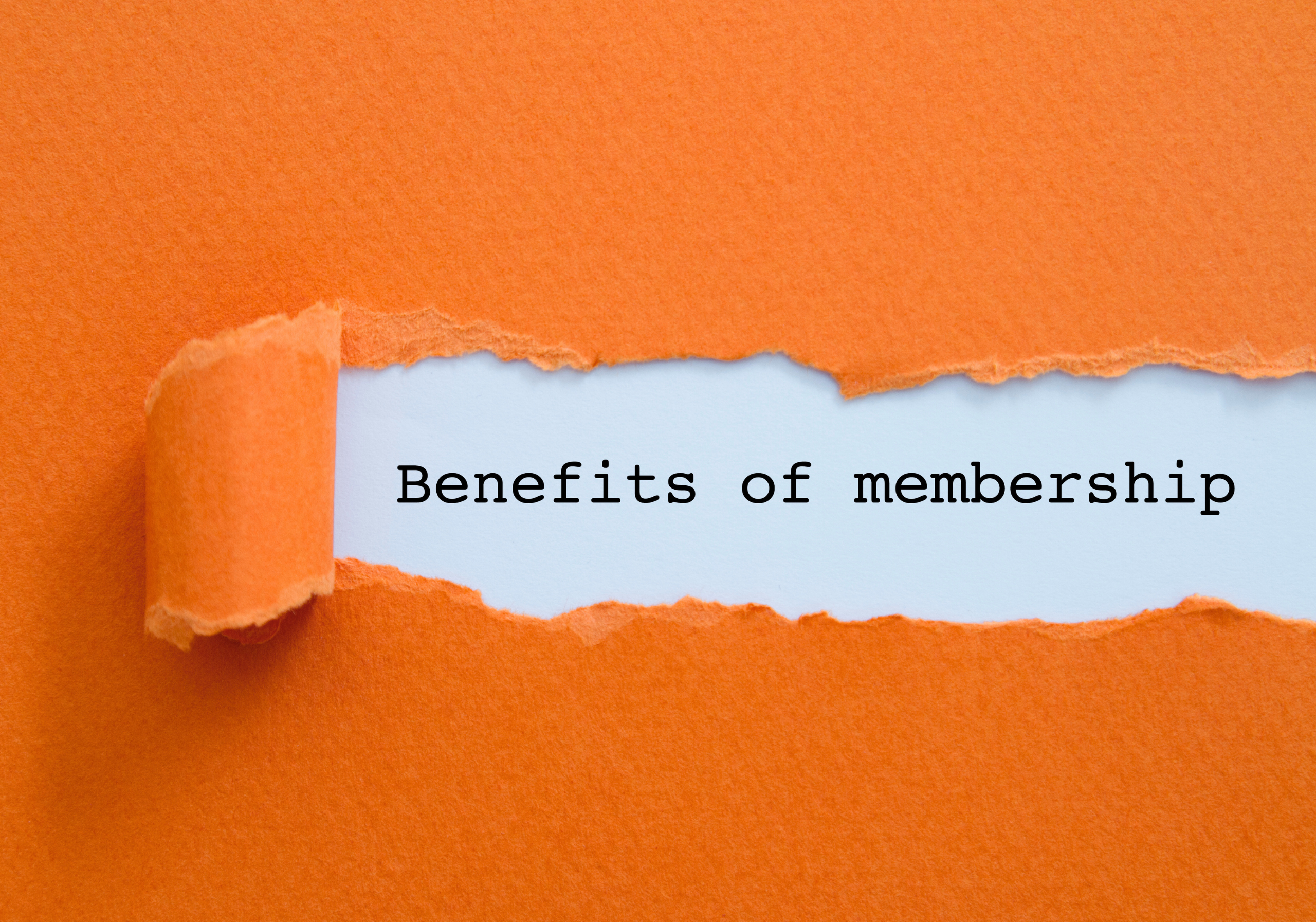 The Value of an AMA Membership: From College to C-Suite